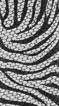 Zebra czarno srebrna